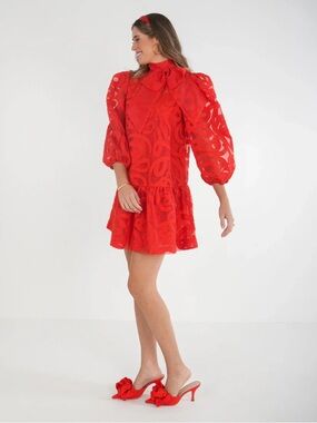 Emily Mccarthy - Red Bella Organza Dress NWOT $225